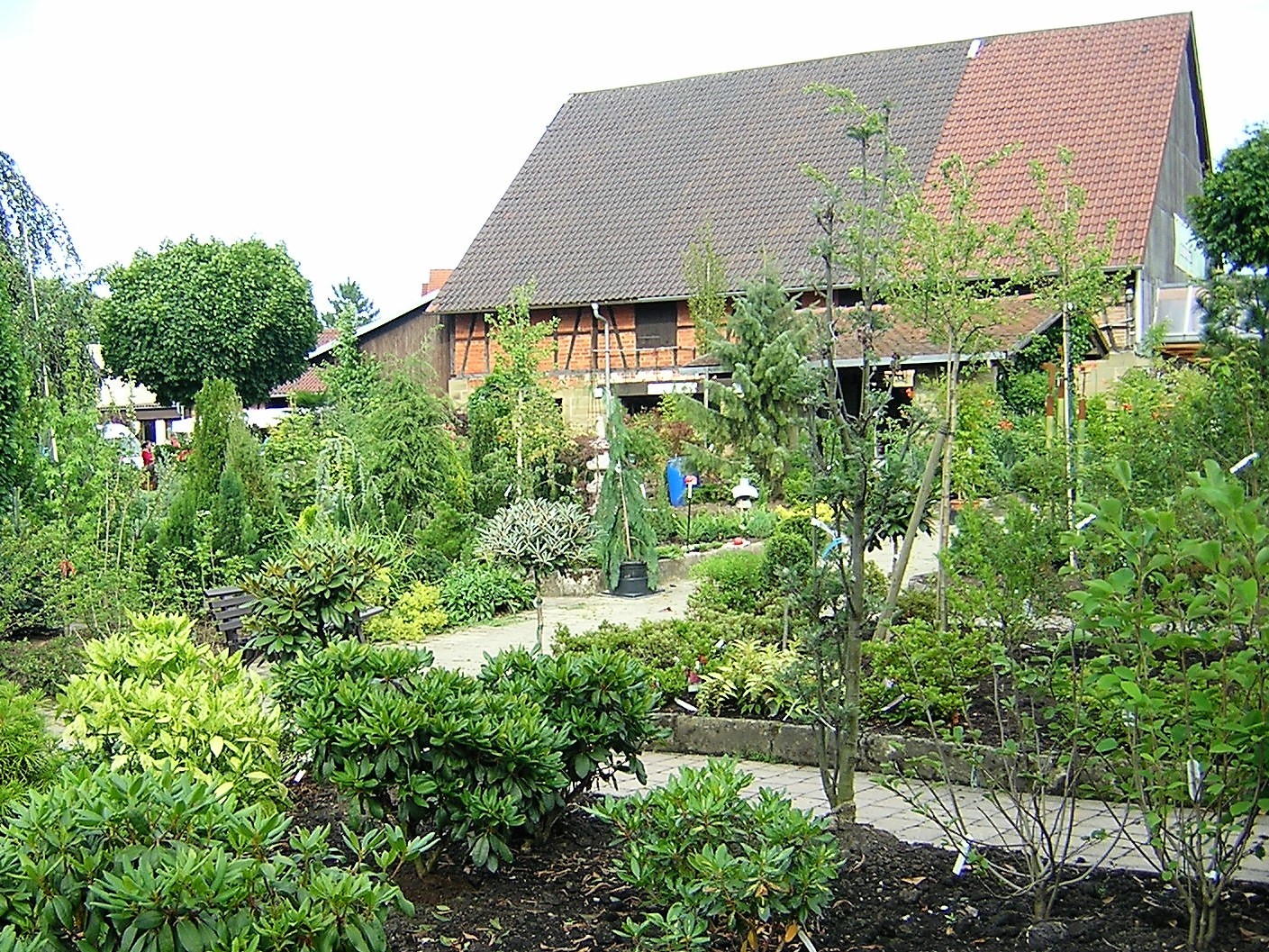 Vogg_Sommer_2008 1.jpg